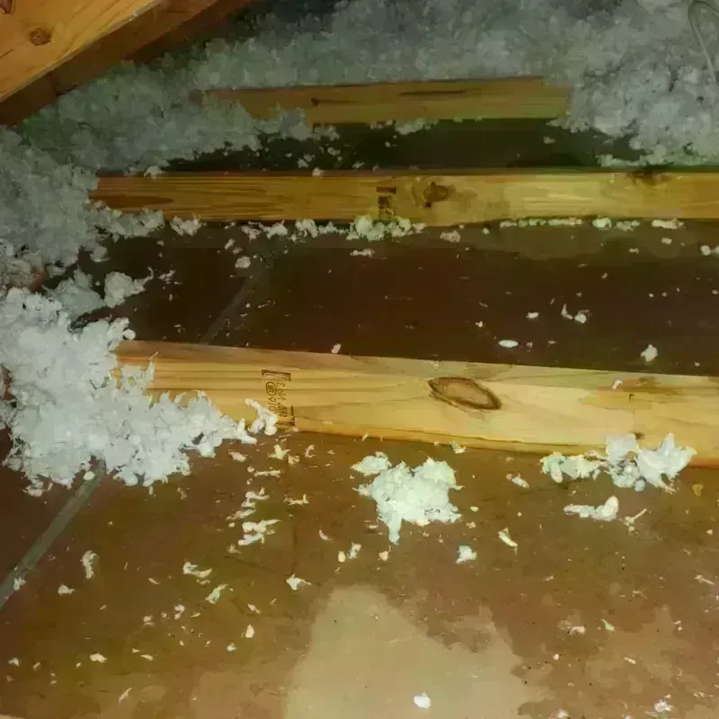 Attic Water Damage in New Albany, MS